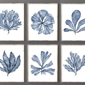 Printable Wall Art Set of 6 Sea Fan Watercolor Paintings, Digital Prints Download 11x14, Six Piece Art Matching Navy Blue Bedroom Wall Decor
