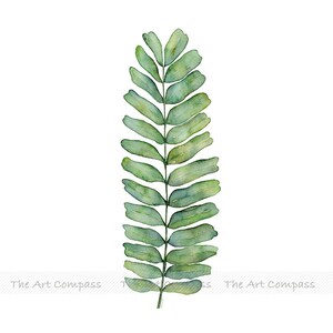 Printable Wall Art, Digital Download, Watercolor Botanical Print Set of 2 Prints, Fern and Banana Leaf Wall Decor in 8x10 11x14 16x20 inch