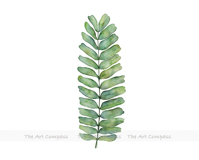 Printable Wall Art, Digital Download, Watercolor Botanical Print Set of 2 Prints, Fern and Banana Leaf Wall Decor in 8x10 11x14 16x20 inch