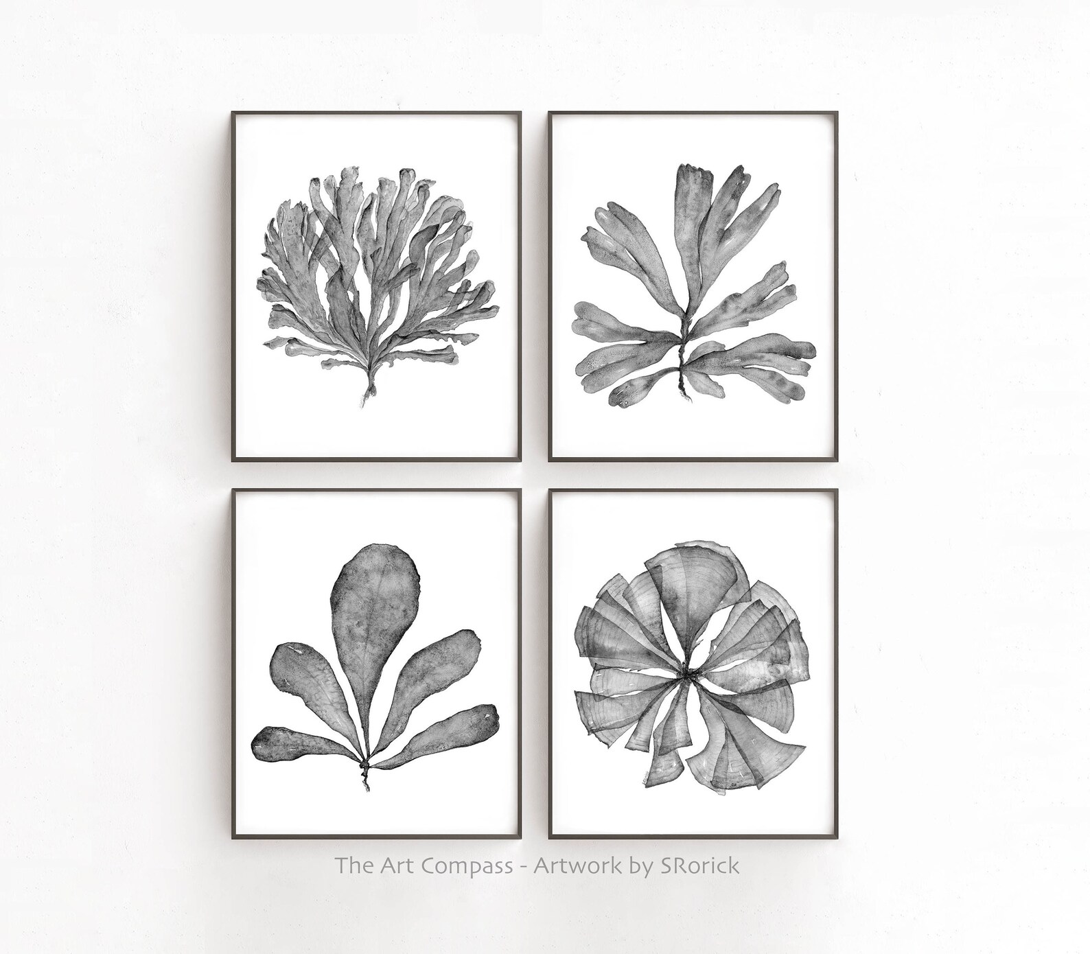 Printable Art Set of Four Prints 8x10 16x20 Sea Fan Coastal - Etsy