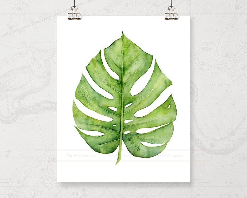 Printable Wall Art Size 11x14 Inches Botanical Prints Gallery - Etsy
