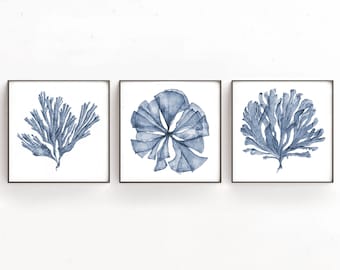 Square Botanical Print Set of 3 Sea Fan Watercolor Paintings, Printable Art, Navy Blue Artwork for Living Room Decor, Bathroom Wall Art