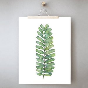 May include: A watercolor painting of a single green fern leaf on a white background.
