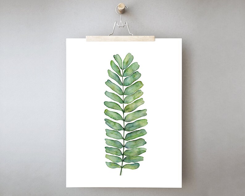 May include: A watercolor painting of a single green fern leaf on a white background.