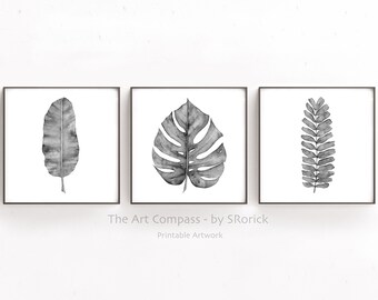 Black and White Square Botanical Print Set of 3 Digital Prints Download, Fern Banana Monstera Leaf Watercolor Paintings, 4x4 to 24x24 Inches