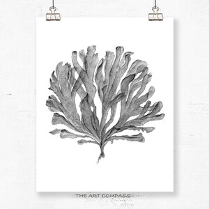 Printable Art Set of Four Prints, 8x10 16x20, Sea Fan Coastal Decor ...