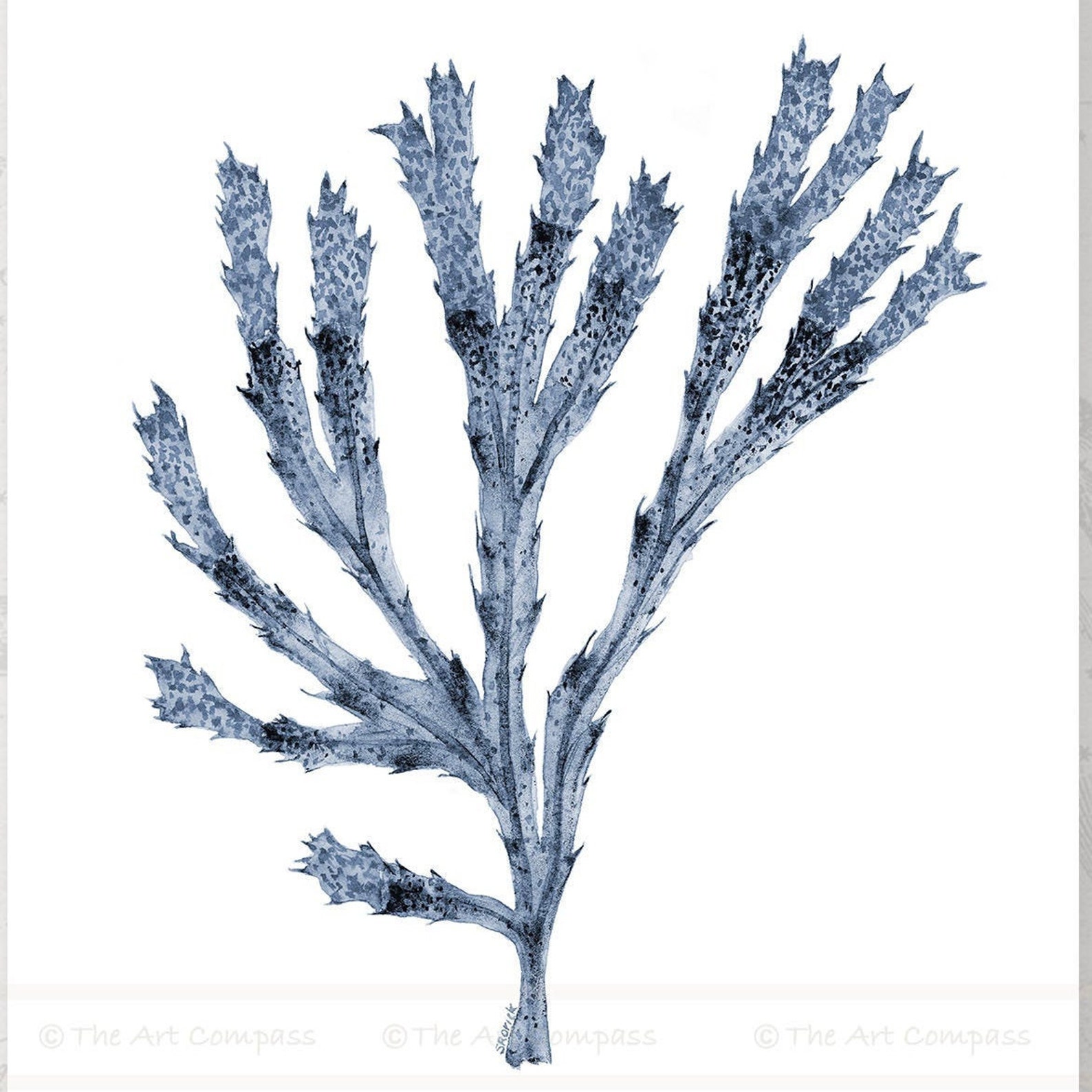 Printable Wall Art Square Art Print Set of 6 Prints Hamptons Etsy