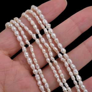 1 Strand 2-4mm Mini Natural Freshwater Pearl Rice Beads Oval Beads Irregular Threaded Pearls Beads Potato Pearls ZB043