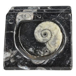 Graven poppen: Natuurlijke Ammonite fossiele Business Card Holder uit Marokko - versteende Office decor!