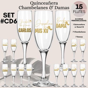 Quinceanera Copas para Brindis Copas Personalizadas Fiesta de Quince Años, Sweet 16 Toast Bundle Champagne Flutes, Copas Elegantes de Vidrio