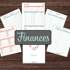 Budget, Budget Binder, Budget Planner, Financial Planner, Financial Binder - Instant Download PDF