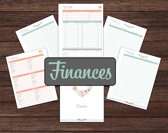 Budget, Budget Binder, Budget Planner, Financial Planner, Financial Binder - Instant Download PDF