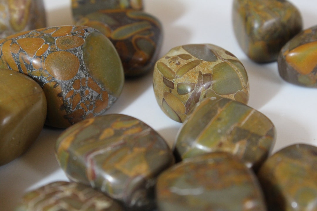 Bamboo Leaf Jasper Tumble Stones Bamboo Jasper Grounding Etsy Australia