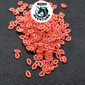 May include: A pile of coral-colored lip-shaped embellishments. The lips are scattered on a dark gray surface. A white circular logo with the text "REINO AVENTURA" and a unicorn graphic is visible in the image.