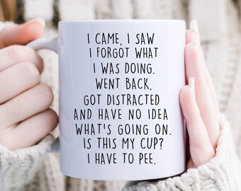 I Came I Saw I Forgot What I Was Doing Coffee Mug, Gifts for Grandma, Senior Citizen Gifts, Retirement Mug,  Grandma Gift From Grandkid