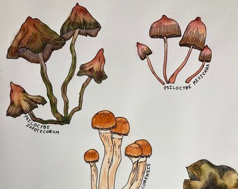 Psychedelic Delights