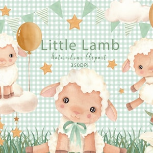 Kleines Lamm