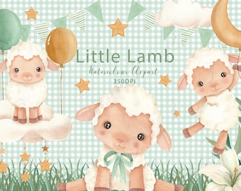 Watercolor Lamb Clipart Set: Baby Shower Graphics (Digital Download)