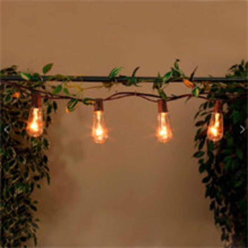 Bulb String Lights Indoor & Outdoor String Light 20FT Etsy