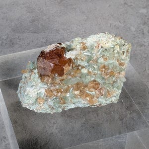 Ruwe hessoniet-granaatkristallen op matrix met vesuvianiet | Grove granaatcluster | Zeldzaam kristalexemplaar van het Zagi-gebergte in Pakistan