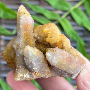 Ametrine Spirit Quartz Cluster: Amethyst Citrine Crystal - South Africa