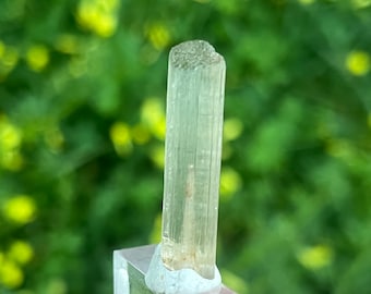 Raw Golden Yellow Scapolite Crystal from Tanzania | Rare Untreated Scapolite Specimen | Perfect for Wire Wrapping, Crystal Grid, Healing