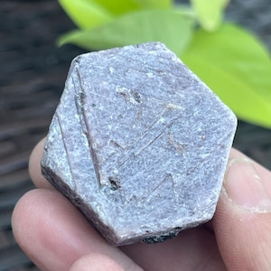 Puede incluir: Cristal hexagonal de color púrpura claro, con estrías visibles e inclusiones oscuras. El cristal se sostiene en una mano, con follaje verde en el fondo.