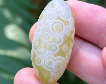 Gobi Eye Agate Crystal 13g | Gobi Desert Mongolia Agate, Gobi Agate, Eye Agate, Rare Chalcedony & Agate Eyes | Metaphysical Healing Crystals