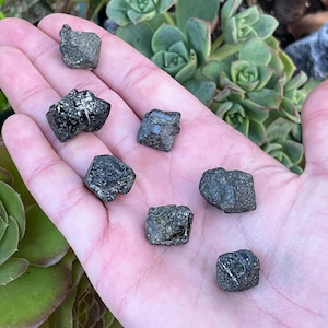 May include: A collection of seven black and green crystals, with a rough, faceted texture. The crystals are arranged on a hand, with the background blurred.