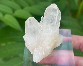 Himalayan White Pineapple Quartz Crystal Cluster: Twin Candle Quartz