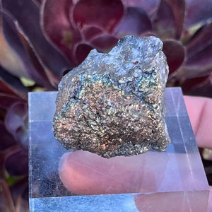 Gorgeous Rainbow Iridescent Goethite Specimen | Colorful Botryoidal Goethite with Galena and Quartz from Ojuela Mine, Durango, Mexico