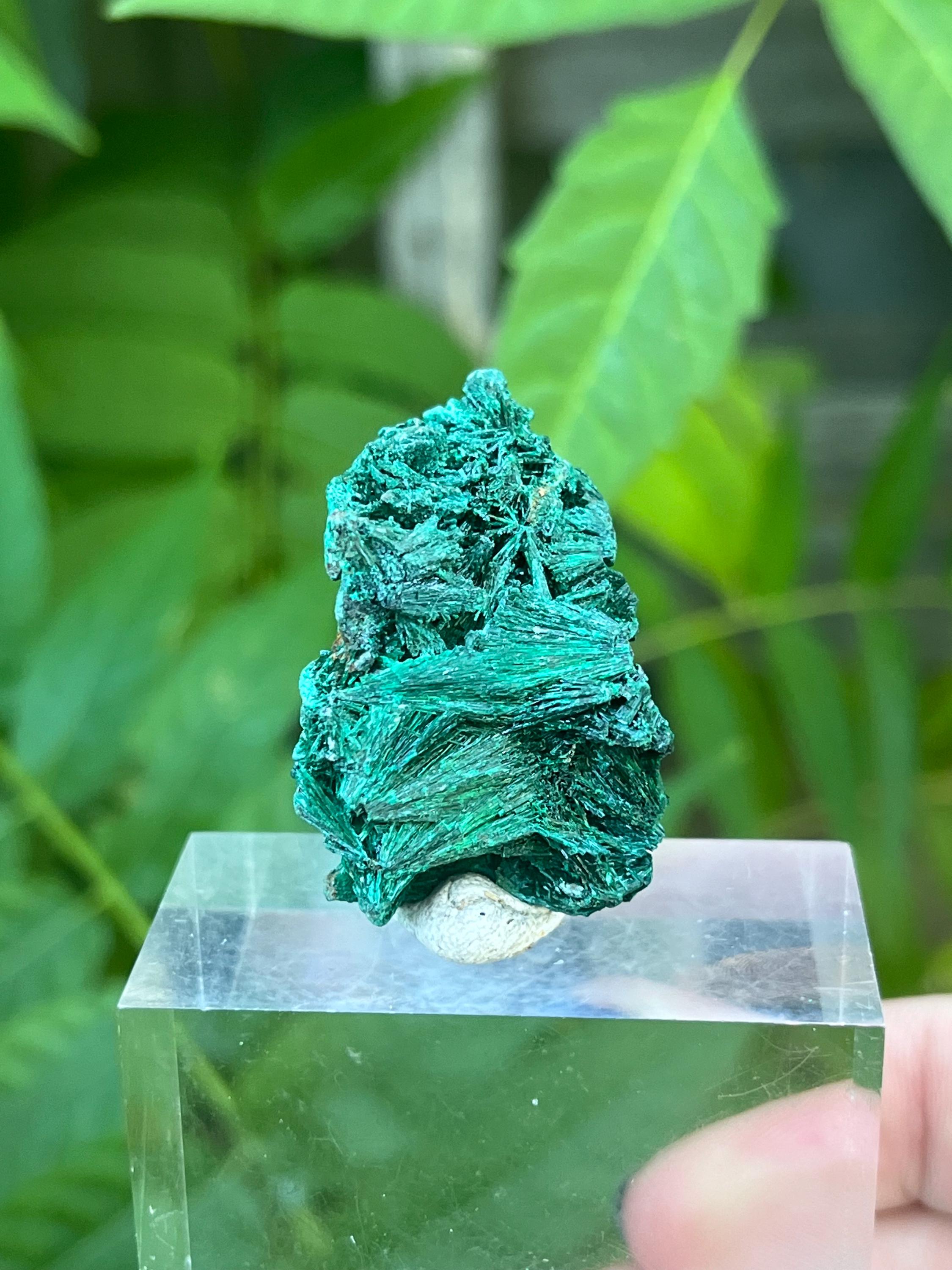 ベルベットマラカイト結晶標本：天然グリーン繊維石（22g） - Etsy 日本
