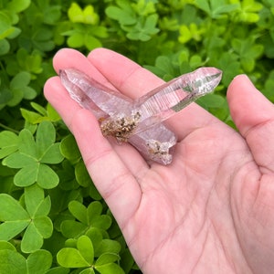 May include: Two clear, pointed crystals with a light purple hue. The crystals are crossed over each other and have a slight shimmer.