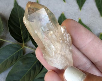 Raw Congo Citrine Point from Lwena | Untreated Solar Plexus Healing Specimen