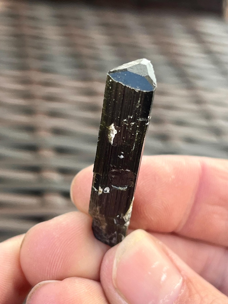 May include: A dark, elongated black tourmaline crystal with a faceted, triangular tip. The crystal has a polished, reflective surface with small, light-colored inclusions. The overall shape is a slender, vertical prism.