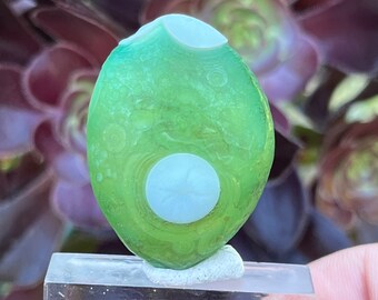 Green Gobi Eye Agate Crystal from Mongolia 14.9g | Unique Desert Agate for Meditation, Grounding, Confidence | Healing Crystal Specimen