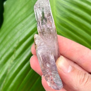 May include: Two amethyst crystal points with a light purple hue and a clear, glassy texture. The crystals are pointed and have a natural, raw appearance.