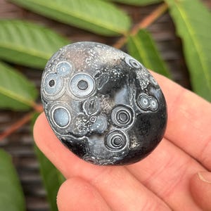 Cristal d'agate oeil de gobi noir et blanc | Agate de Mongolie du désert de Gobi, agate de Gobi, agate de l'oeil, pierre de palmier | Cristaux de guérison métaphysiques