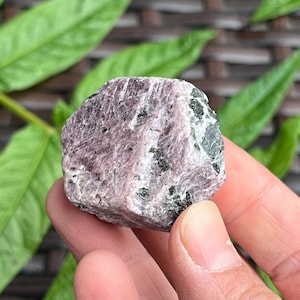 UV Reactive Raw Ruby Crystal with Record Keepers | Natural Hexagonal Fluorescent Ruby for Wisdom & Activation, High Vibration Healing Stone