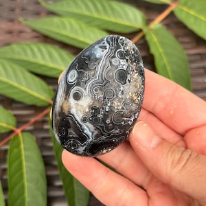 Grand cristal d'agate oeil de gobi noir et blanc | Agate de Mongolie du désert de Gobi, pierre de palmier en agate de Gobi | Cristaux de guérison métaphysiques