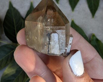Raw Smoky Congo Citrine Point from Lwena | Untreated Solar Plexus Healing Specimen