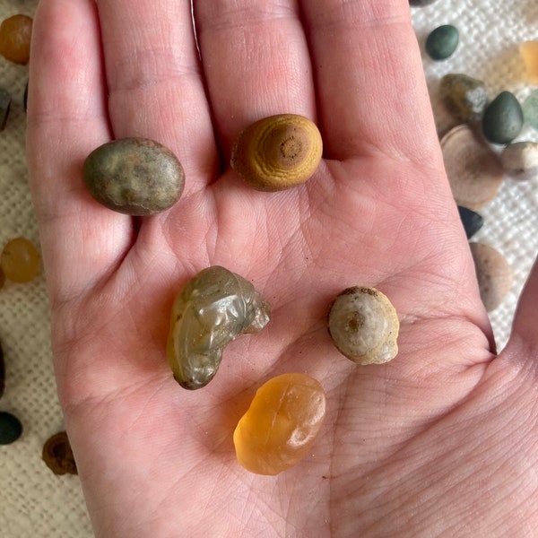 Raw Gobi Eye Agate 5 Stones Variety Pack | Natural Gobi Desert Mongolia Agate | Rare Agate Eyes, Gobi Candy | Metaphysical Healing Crystals