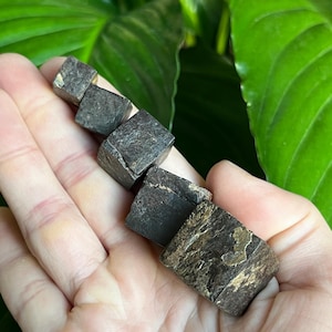 May include: A selection of dark, cube-shaped pyrite stones with metallic gold veining. The stones are held in a hand, with a backdrop of green leaves. The pyrite cubes have a rough, natural texture and varying sizes.