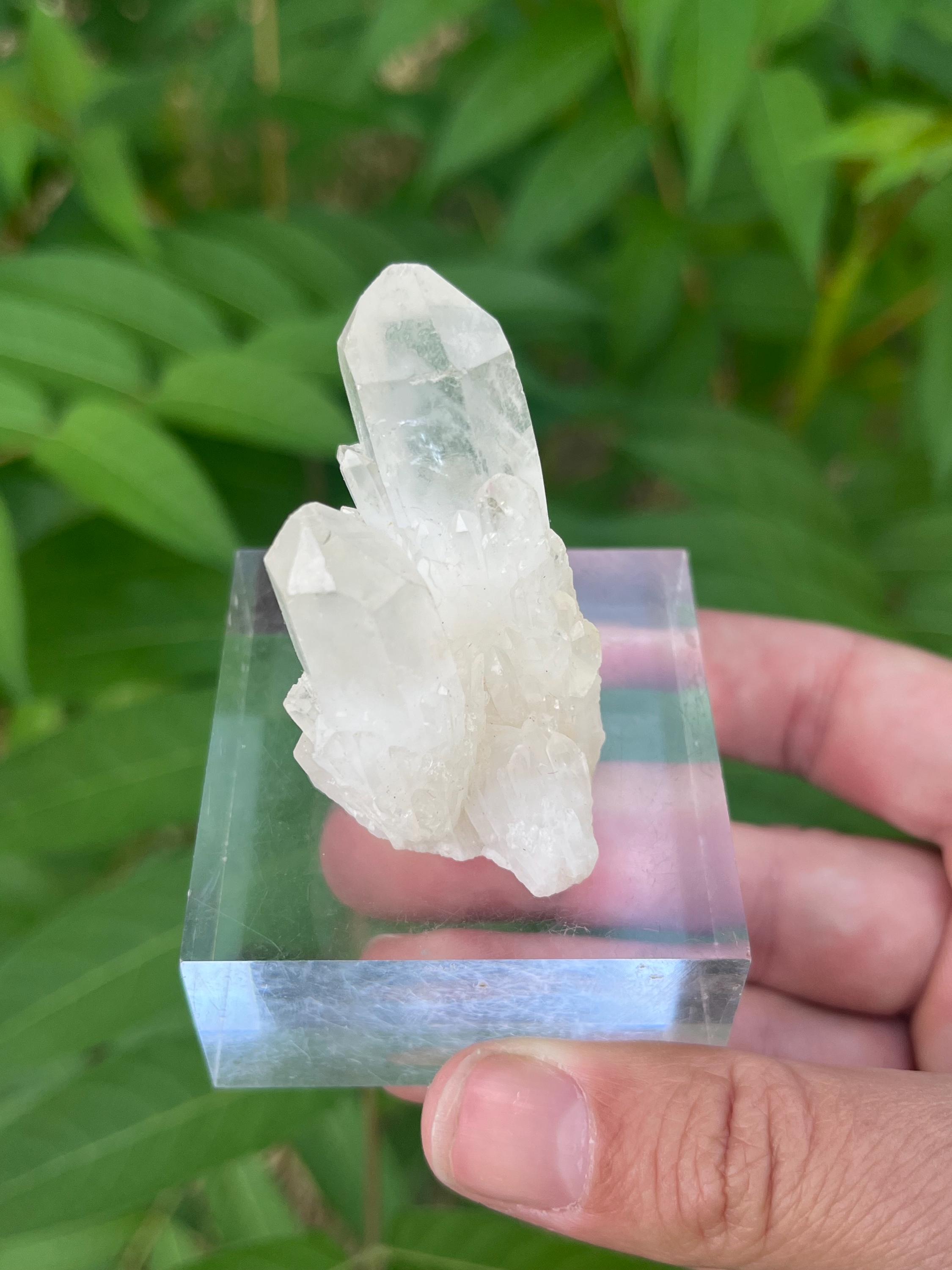 ヒマラヤ産ホワイトパイナップルクォーツ水晶クラスター：ツイン