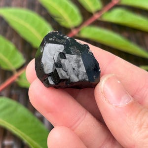May include: A faceted, black tourmaline crystal held in a hand. The crystal has a glossy, reflective surface and a dark, opaque color. The background features green leaves and a wooden surface.