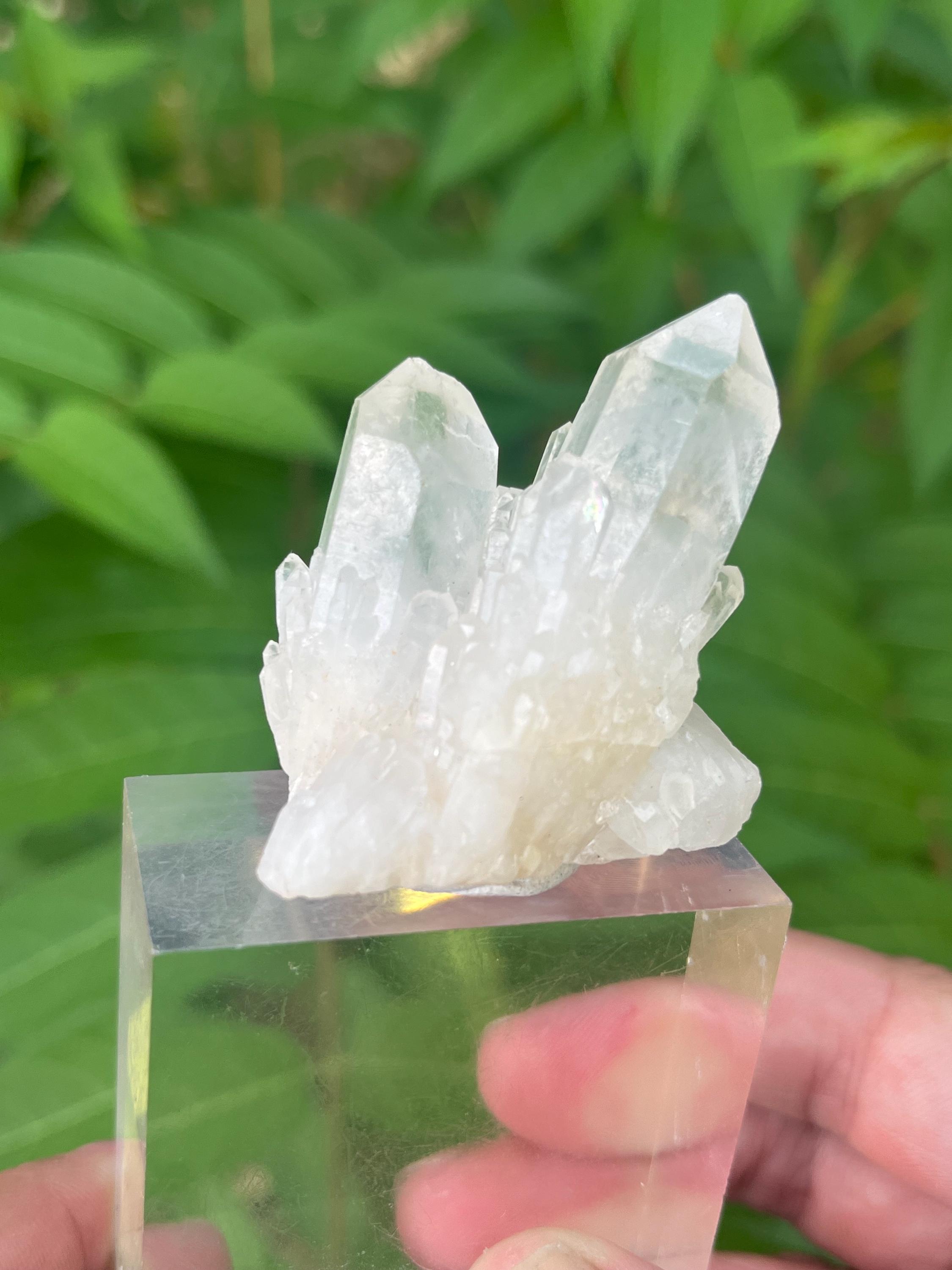ヒマラヤ産ホワイトパイナップルクォーツ水晶クラスター：ツイン