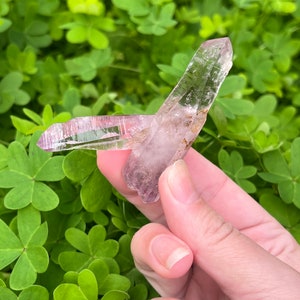 May include: Two amethyst crystal points with a light purple hue and clear sections. The crystals are held in a hand against a background of green foliage.