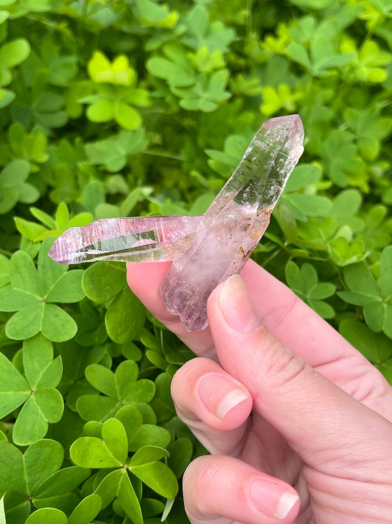 May include: Two amethyst crystal points with a light purple hue and clear sections. The crystals are held in a hand against a background of green foliage.