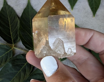Raw Congo Citrine Point from Lwena | Untreated Solar Plexus Healing Specimen