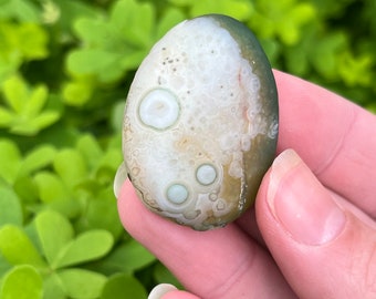Green & White Gobi Eye Agate: Rare Agate Chalcedony Crystal (14.3g)
